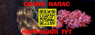 Альфа ПВП Новозыбков