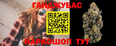 Альфа ПВП Новозыбков