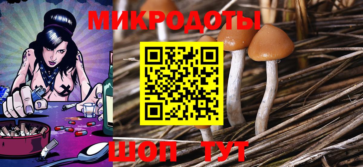 дарнет шоп  Галлюциногенные грибы мицелий  Вход с VPN  Славянск-на-Кубани  Псилоцибиновые грибы ЛСД 