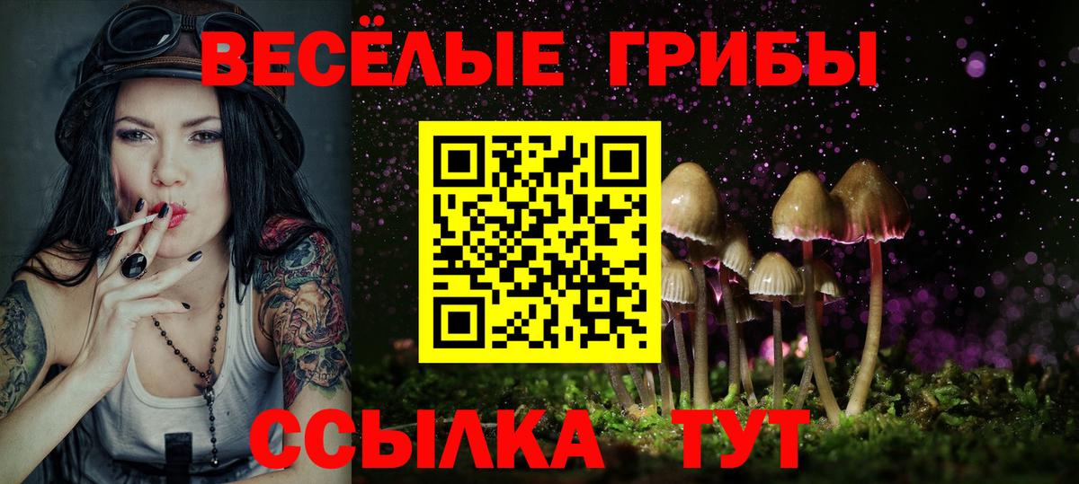 Псилоцибиновые грибы GOLDEN TEACHER Славянск-на-Кубани